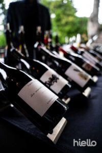 art&vin 2 tanium aout 2025 art&vin 2 tanium aout 2025