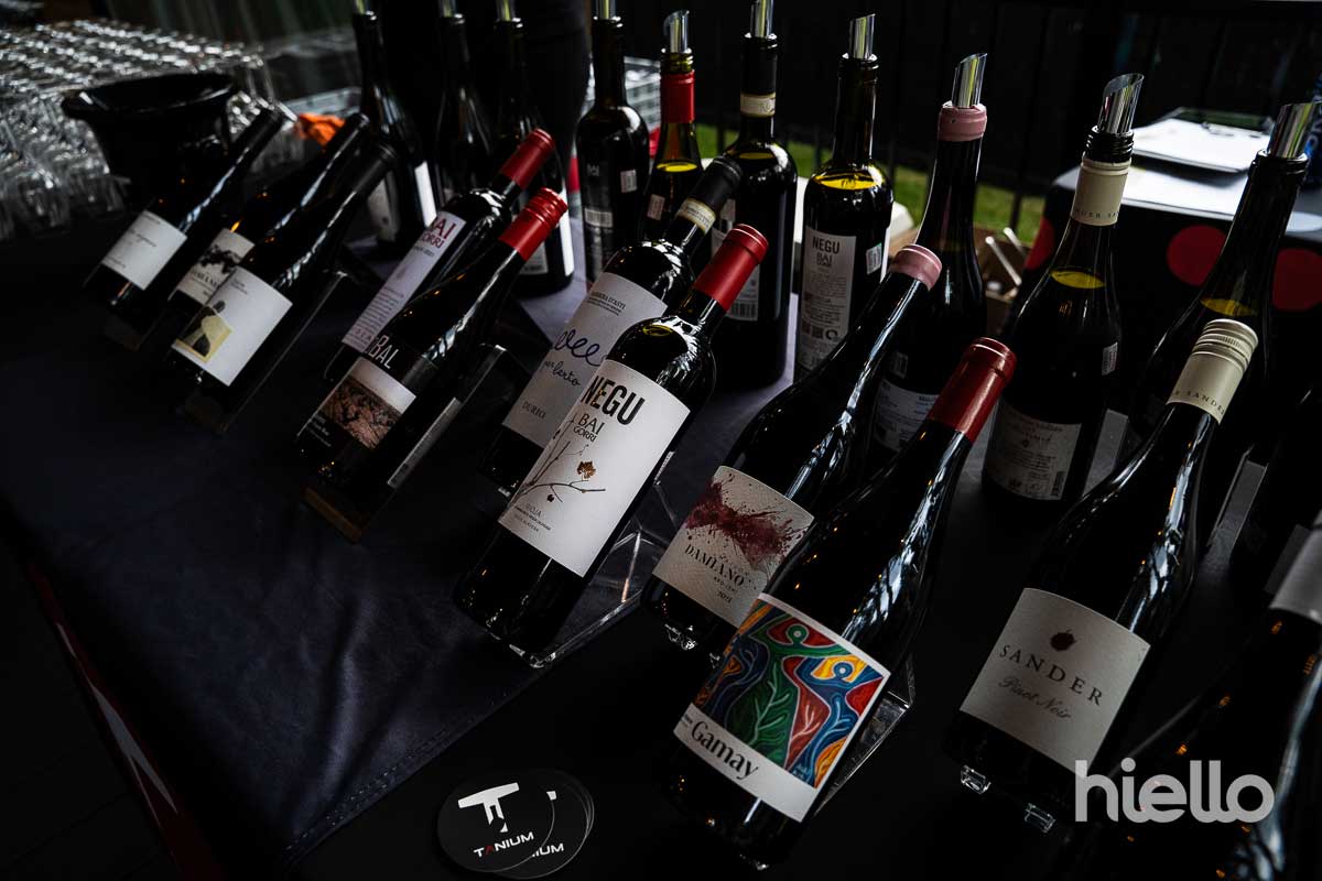 art&vin 6 tanium aout 2025